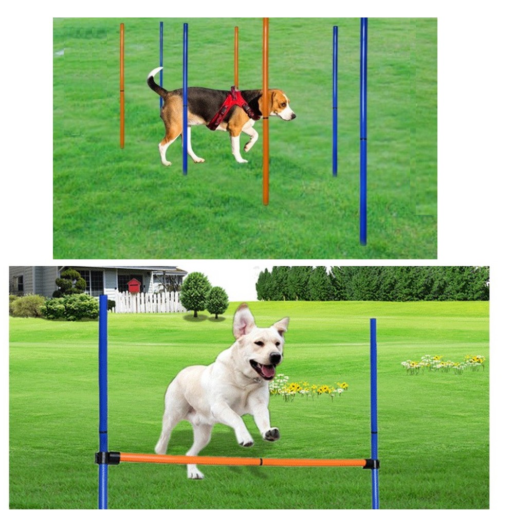 Pet Dog Agility Equipment Set  - Sports Equipment Kit review and price