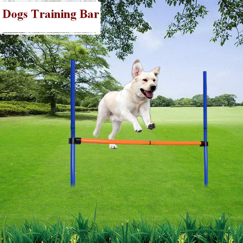 Pet Dog Agility Equipment Set  - Sports Equipment Kit review and price