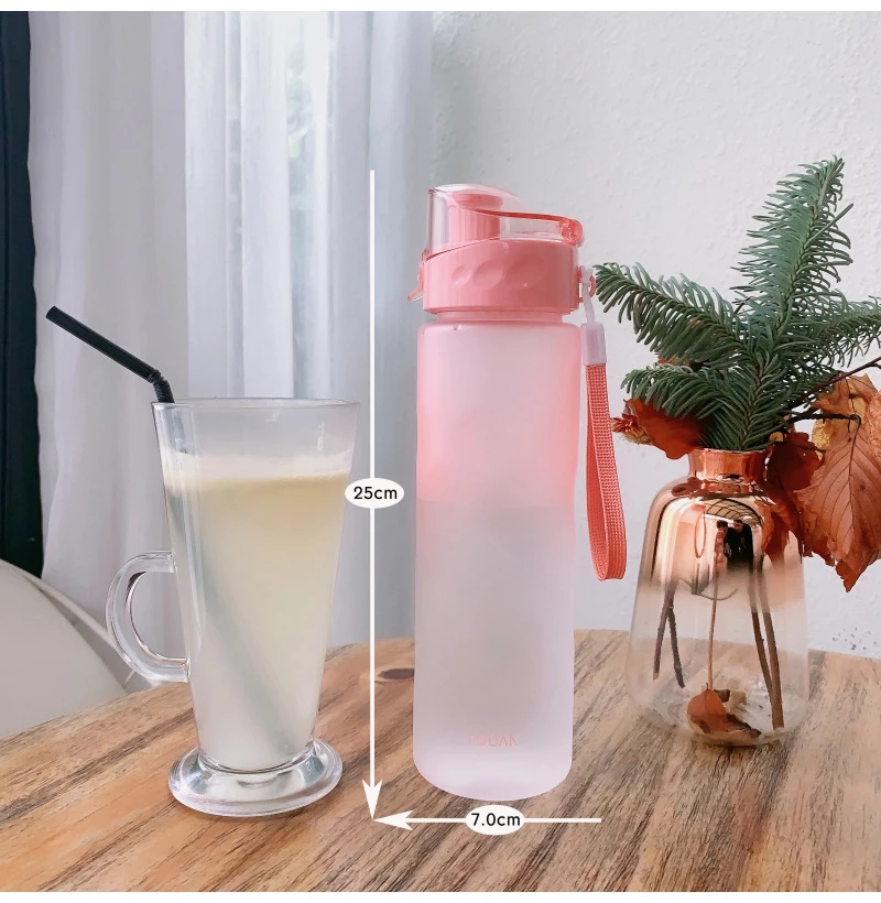Sports Water Bottles Colorful  - Sports Equipment Logos review and price